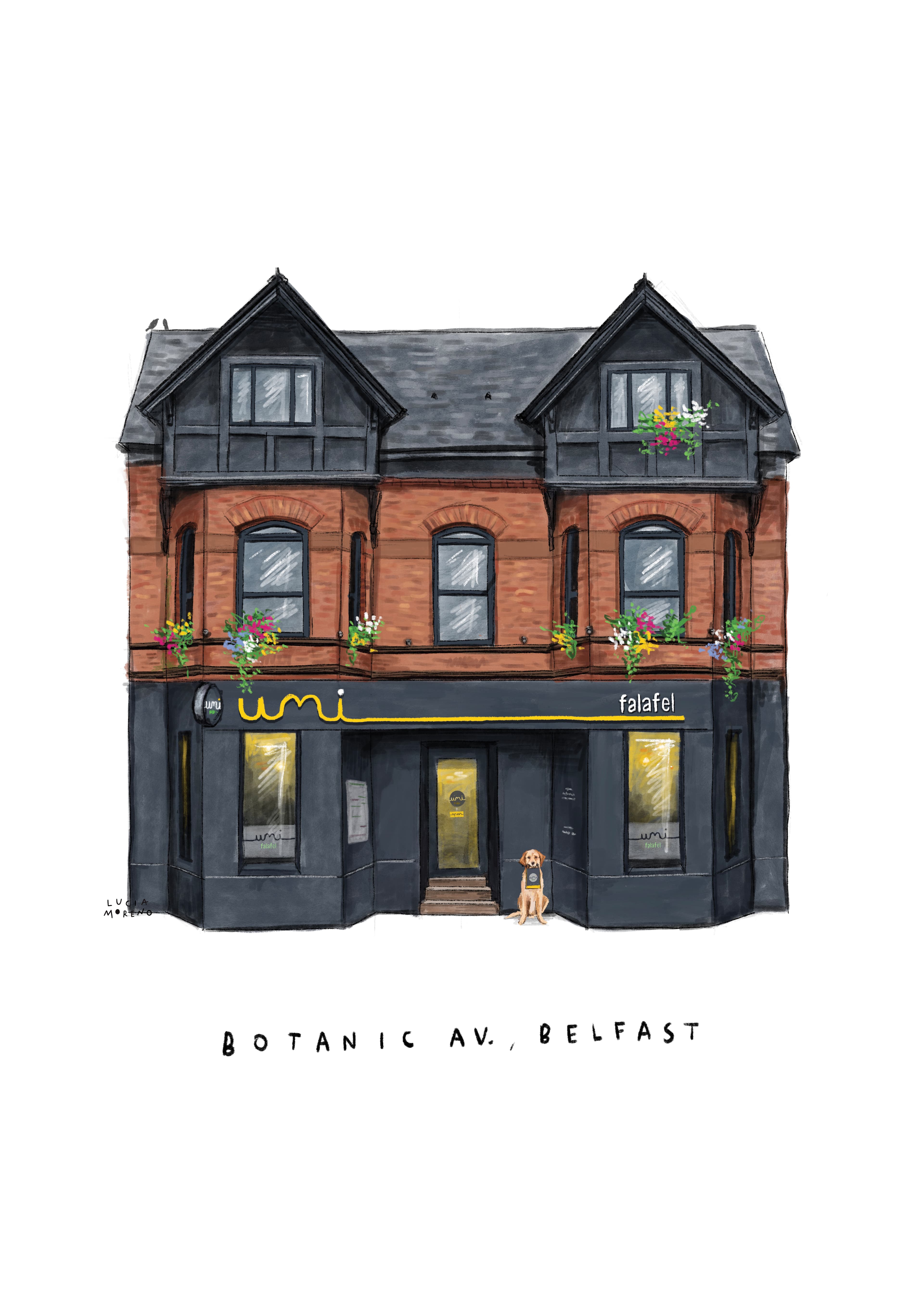 Illustration of Umi Falafel Belfast